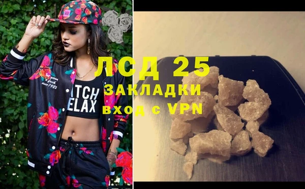 PSILOCYBIN Верея