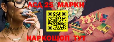 2c-b Кингисепп