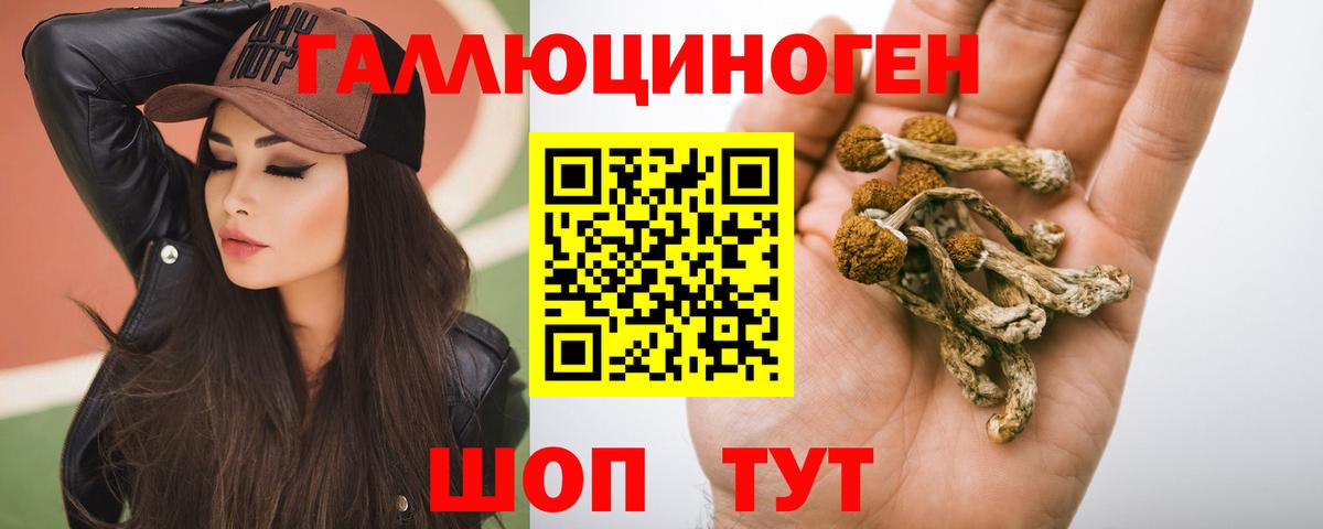 Мценск  Псилоцибиновые грибы Psilocybe  Вход с VPN 